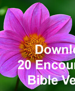 Encouraging Bible Verses