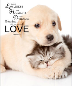 Ephesians 4:2 - In Love - Bible Verses To Go