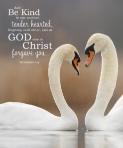 Ephesians 4:32 - Be Kind & Forgiving - Bible Verses To Go