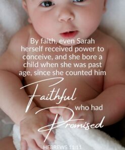 Christian Wallpaper - Faithful Promise Hebrews 11:11