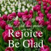 Christian Wallpaper - Field of Tulips Psalm 118:24