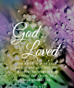 Christian Wallpaper – Flora John 3:16