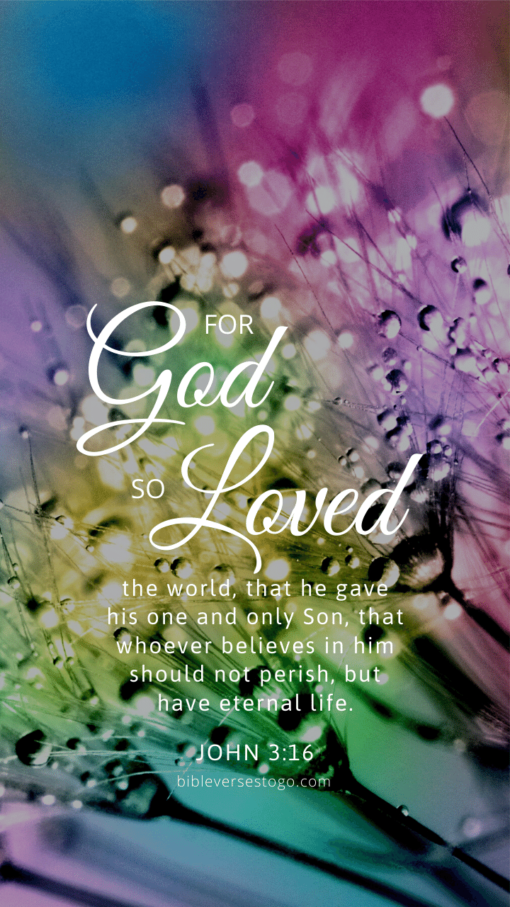 Christian Wallpaper – Flora John 3:16