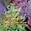 Christian Wallpaper – Flora Proverbs 3:5-6