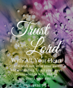 Christian Wallpaper – Flora Proverbs 3:5-6