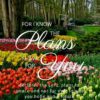 Christian Wallpaper –Flower Garden Jeremiah 29:11