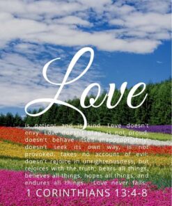 Christian Wallpaper – Flowerfield 1 Corinthians 13:4-8