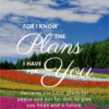 Christian Wallpaper - Flowerfield Jeremiah 29:11