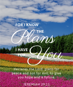 Christian Wallpaper - Flowerfield Jeremiah 29:11