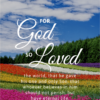 Christian Wallpaper - Flowerfield John 3:16