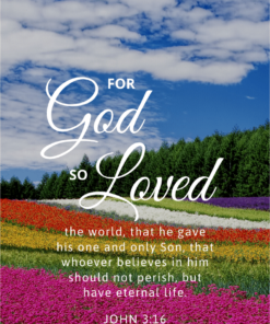 Christian Wallpaper - Flowerfield John 3:16