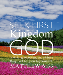 Christian Wallpaper – Flowerfield Matthew 6:33