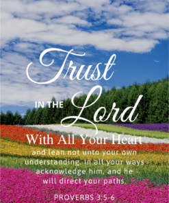 Christian Wallpaper – Flowerfield Proverbs 3:5-6