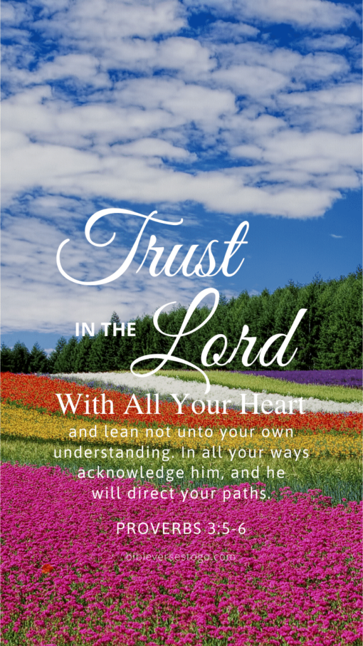 Christian Wallpaper – Flowerfield Proverbs 3:5-6