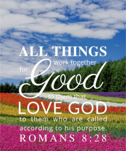 Christian Wallpaper – Flowerfield Romans 8:28