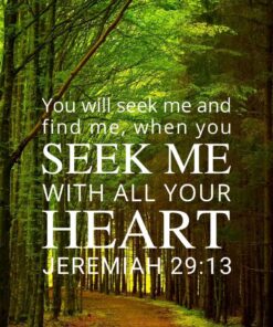 Christian Wallpaper - Forest Path Jeremiah 29:13