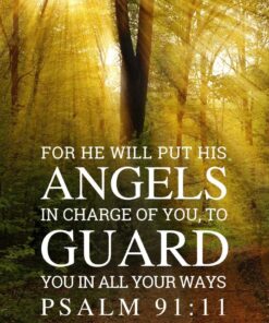 Christian Wallpaper - Forest Rays Psalm 91:11