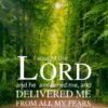Christian Wallpaper - Forest Road Psalm 34:4