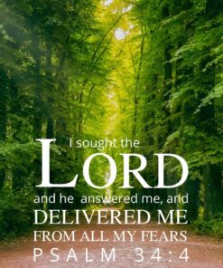 Christian Wallpaper - Forest Road Psalm 34:4