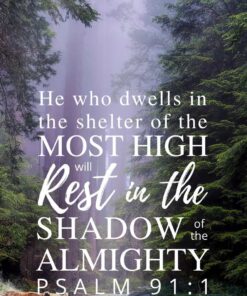 Christian Wallpaper - Forest Stream Psalm 91:1