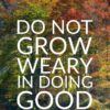 Christian Wallpaper - Forest of Colors 2 Thessalonians 3:13