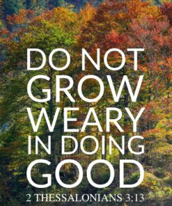 Christian Wallpaper - Forest of Colors 2 Thessalonians 3:13