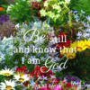 Christian Wallpaper – Garden Psalm 46:10
