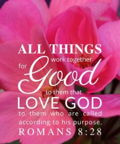 Christian Wallpaper - Geranium Romans 8:28