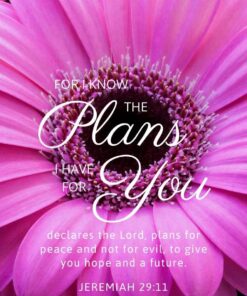 Christian Wallpaper – Gerber Jeremiah 29:11