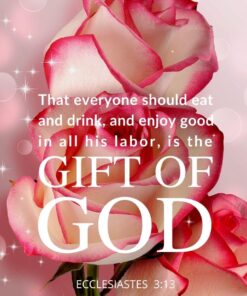 Christian Wallpaper - Gift of God Ecclesiastes 3:13
