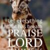 Christian Wallpaper - Giraffe Psalm 150:6