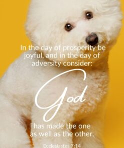 Christian Wallpaper - God Made Both Ecclesiastes 7:14