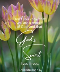 Christian Wallpaper - God's Spirit 1 Corinthians 3:16