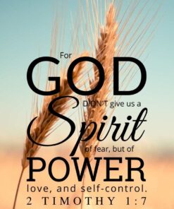 Christian Wallpaper – Grains 2 Timothy 1:7