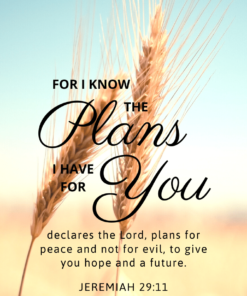 Christian Wallpaper - Grains Jeremiah 29:11