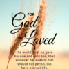Christian Wallpaper - Grains John 3:16