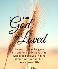 Christian Wallpaper - Grains John 3:16