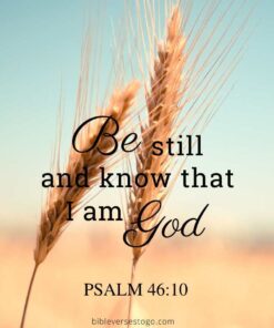 Christian Wallpaper – Grains Psalm 46:10
