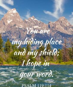 Christian Wallpaper - Grand Teton Psalm 119:114