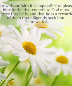Hebrews 11:6 - Please Him With Faith - Bible Verses To Go