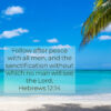 Hebrews 12:14 - Follow Peace With All Men - Bible Verses To Go