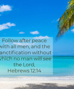 Hebrews 12:14 - Follow Peace With All Men - Bible Verses To Go