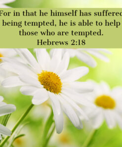 Hebrews 2:18 - Help Those Who Are Tempted - Bible Verses To Go