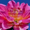 Christian Wallpaper - He is Able 2 Timothy 1:12