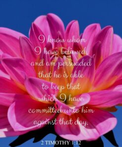 Christian Wallpaper - He is Able 2 Timothy 1:12