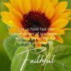 Christian Wallpaper - He is Faithful Hebrews 10:23