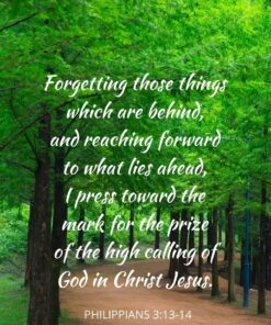 Christian Wallpaper - High Calling Philippians 3:13-14