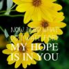 Christian Wallpaper - Hopeful Daisy Psalm 39:7
