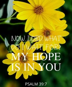 Christian Wallpaper - Hopeful Daisy Psalm 39:7
