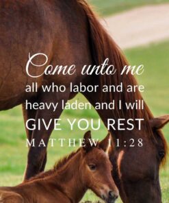 Christian Wallpaper - Horses Matthew 11:28